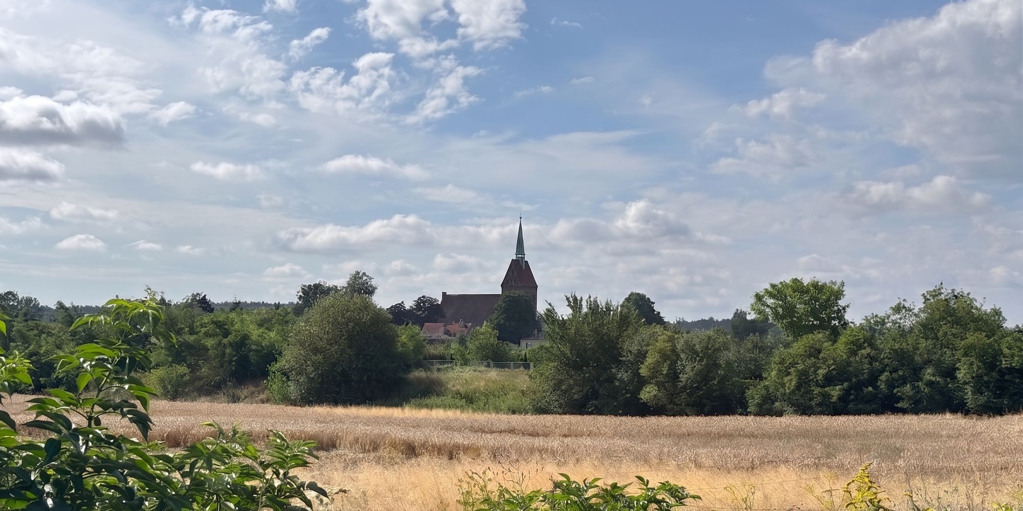 Kościół Narodzenia NMP w Wilkowie widziany zza pola zboża, w letni dzień